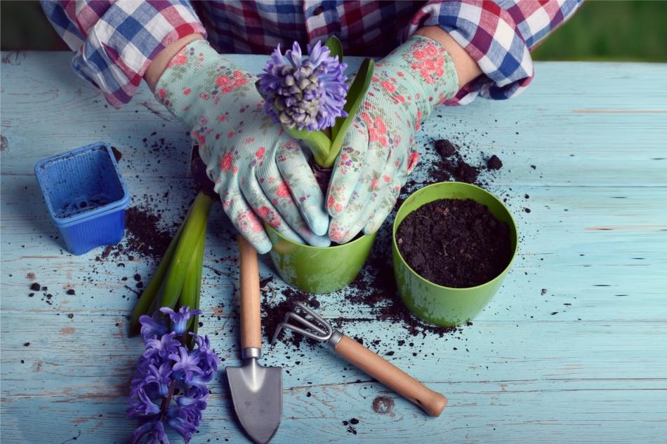 Gardeners Exfoliating Hand Soap Scrub